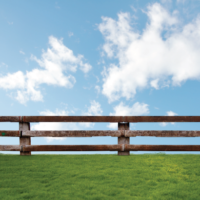 Farm Boundary Fencing / per meter