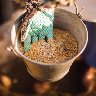Chicken Feed / per kg